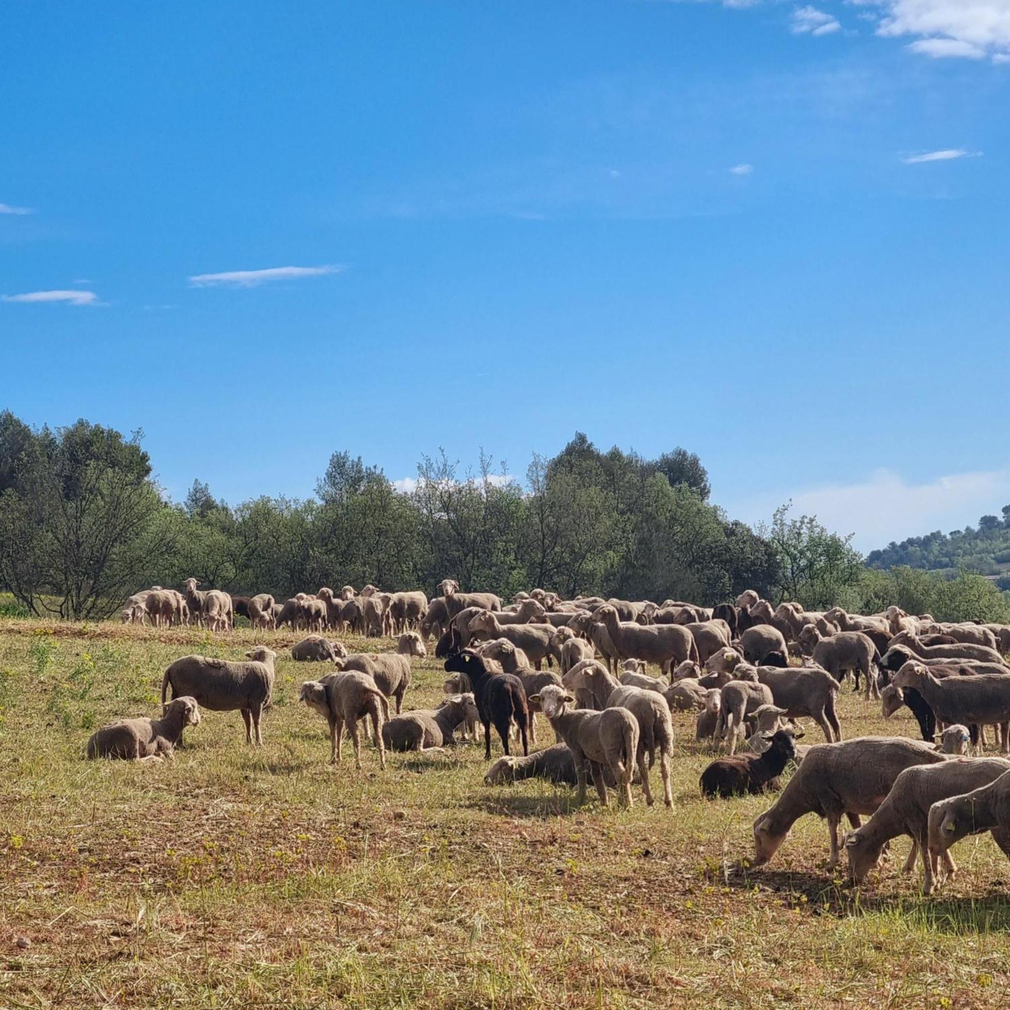 L'Oustaou Du Luberon Et Spa Villelaure Zewnętrze zdjęcie