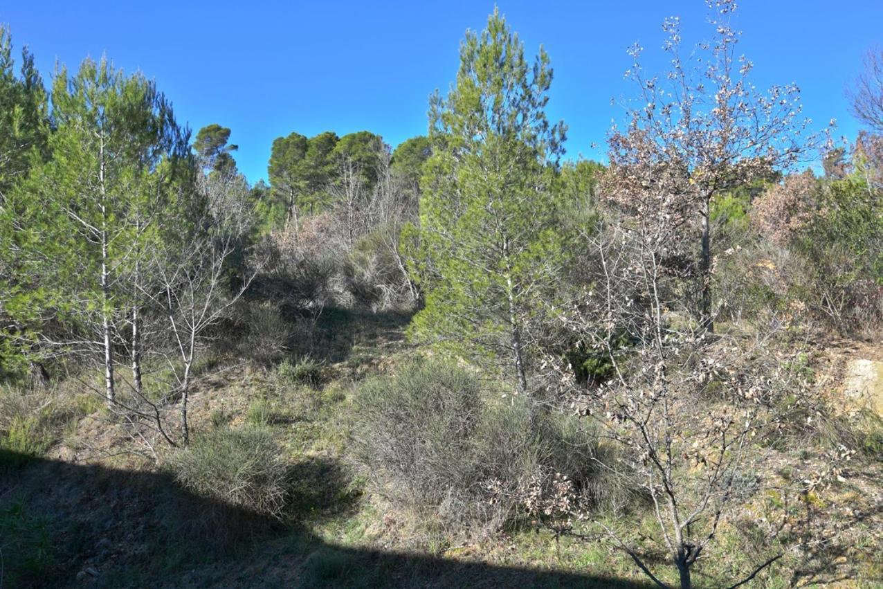 L'Oustaou Du Luberon Et Spa Villelaure Zewnętrze zdjęcie