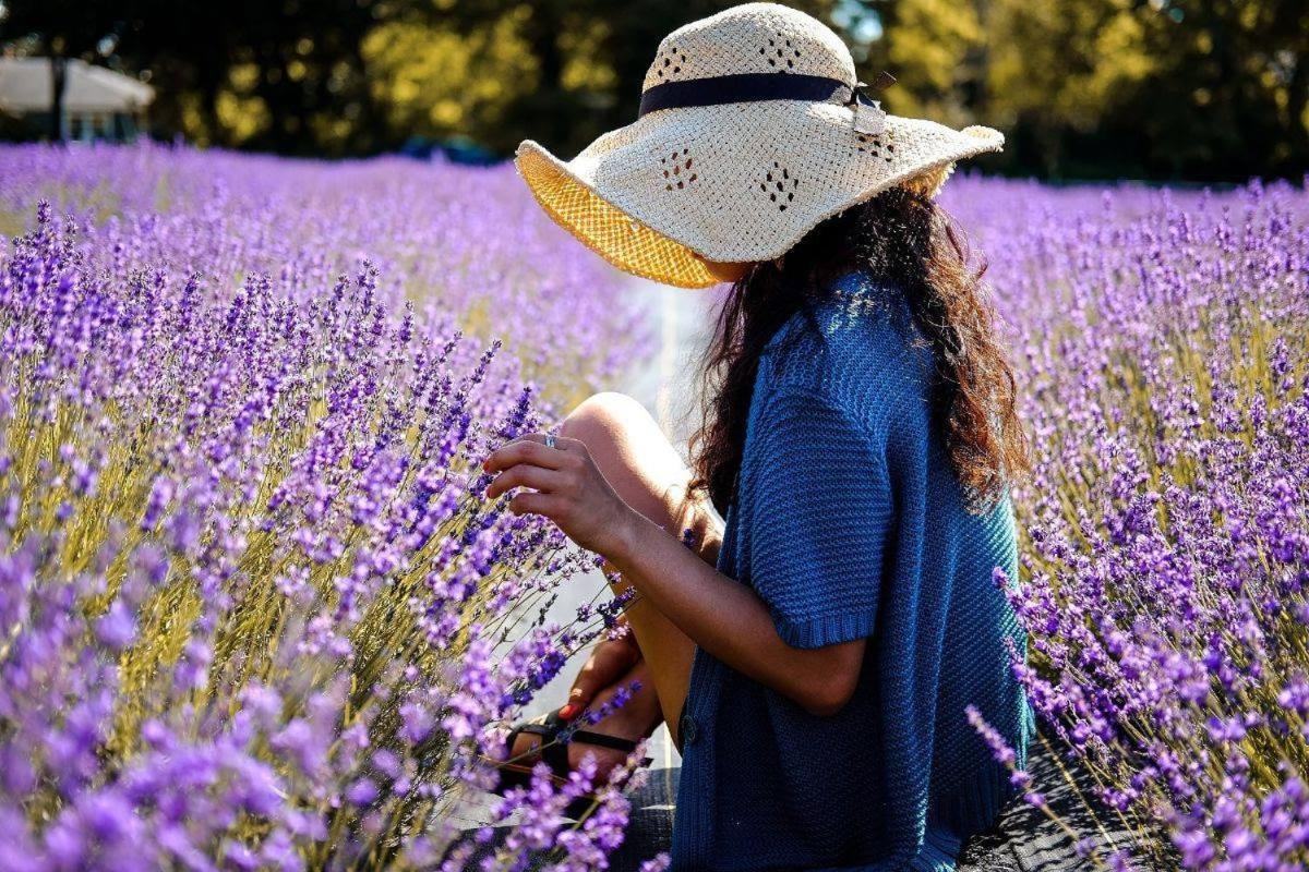 L'Oustaou Du Luberon Et Spa Villelaure Zewnętrze zdjęcie