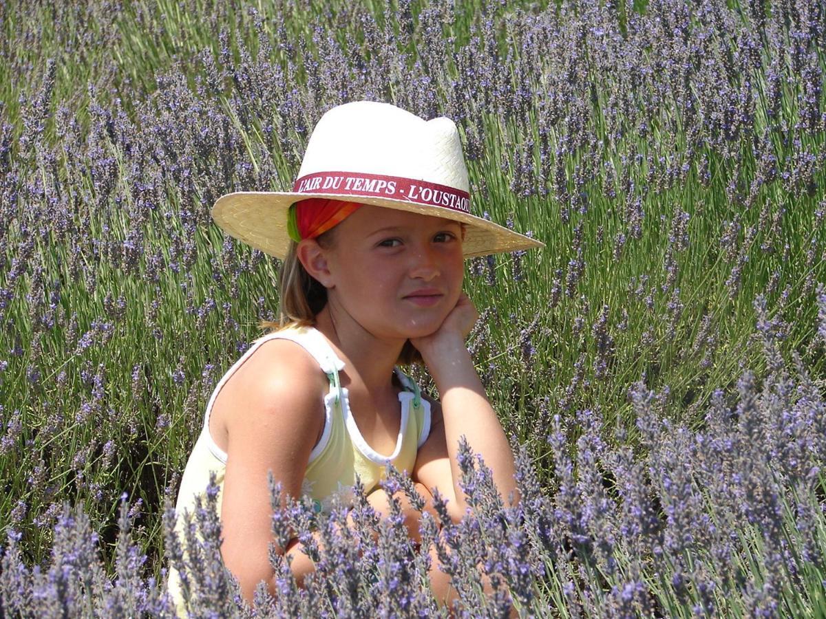 L'Oustaou Du Luberon Et Spa Villelaure Zewnętrze zdjęcie